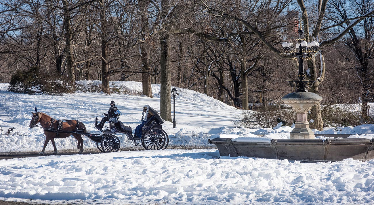 horse drawn carriage in a snowy Central Park