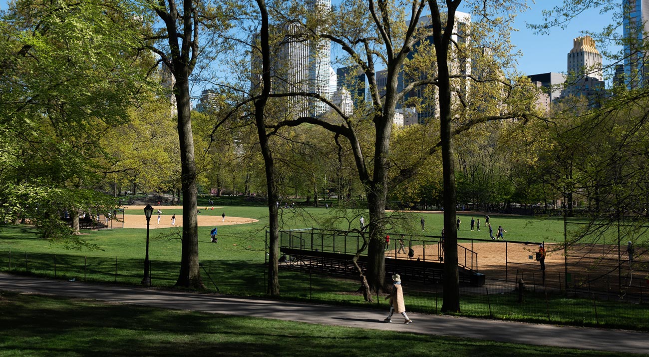 Central Park greenery and baseball fields